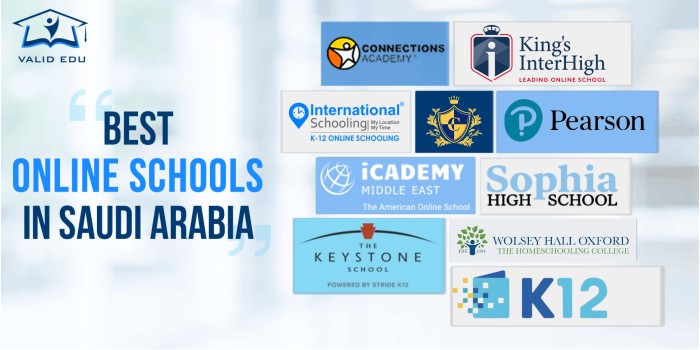 Online Schools in Saudi Arabia
