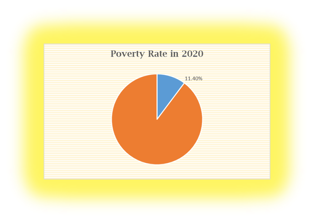 Poverty Rate in 2020